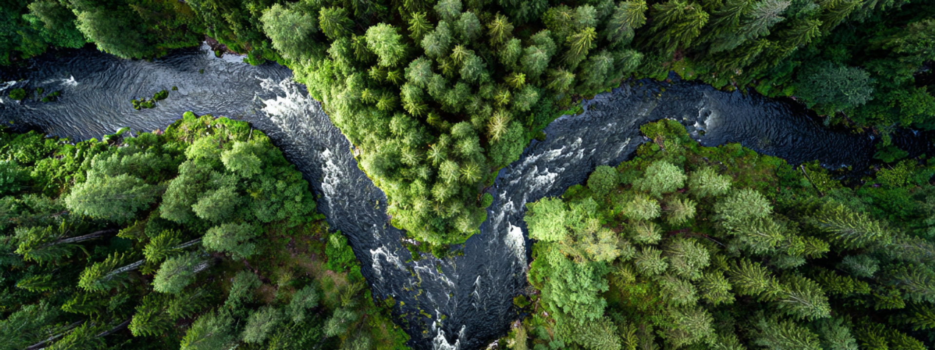 busch_group_csr_environment