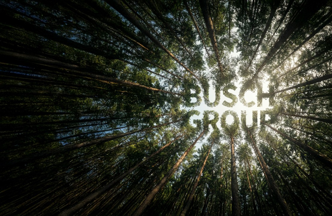 busch_group_csr_woods